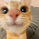 heyyy