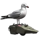 Tarkov_seagull Tarkov_seagull