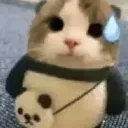 Cat_Nervous