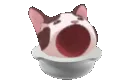 catsoup
