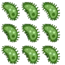 Virus_Matrix