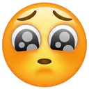 pleadingsads