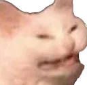 catyikes