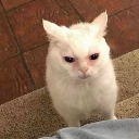 hmph Discord emoji