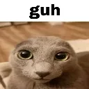 guh