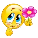 flower_PL