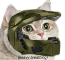 :Chief_cat: