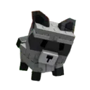 Raccoon