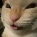 muehehehehehe