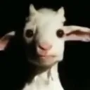 ThinkNoEvil
