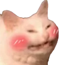 catblush