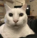 emoji_25
