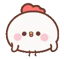 F_Chicken_COS