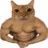 kitty_4weirdbuff