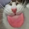 mlem