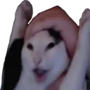 wahoo wahoo
