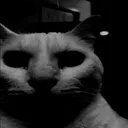 dark