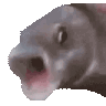 OOOO