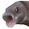 OOOO
