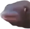 :MMMM: