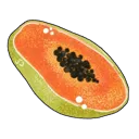 papaya