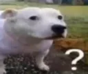 wuh