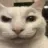 sus_cat