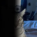 ponder_watching