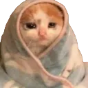 sadcozy