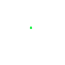Greenheart