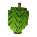 Feijoa