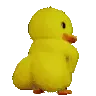 duckass