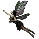fairy