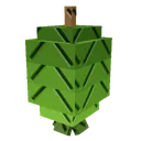 Feijoa