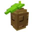 Kiwi1