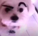 doghuh doghuh