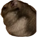 sadhampter