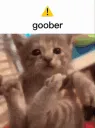 goobertankthecat