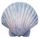 6_shell