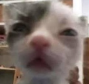 huh_wuah Discord emoji