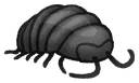 rolypoly