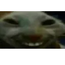 xdd