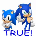 sonictrue sonictrue