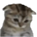 emoji_8