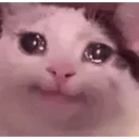 cat_sad
