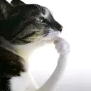 hmmm