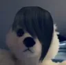 shrey shrey