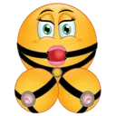 bdsm_extreme