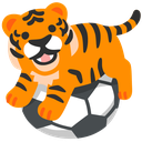 :futebol: