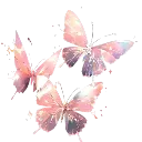 Pi_butterflies